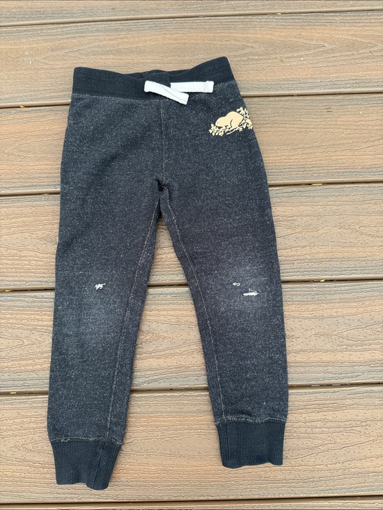 Roots Other - Roots Sweatpants 5T